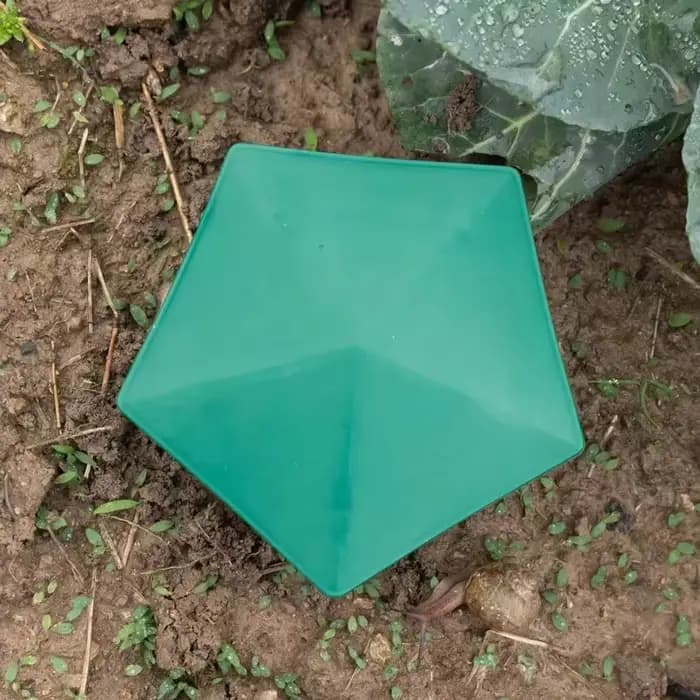 Pièges à escargots pentagonaux pour jardins potagers et plantes succulentes