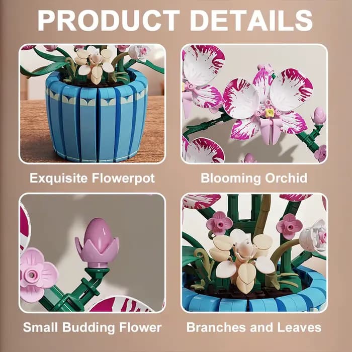 Pot d'orchidée, plante en pot
