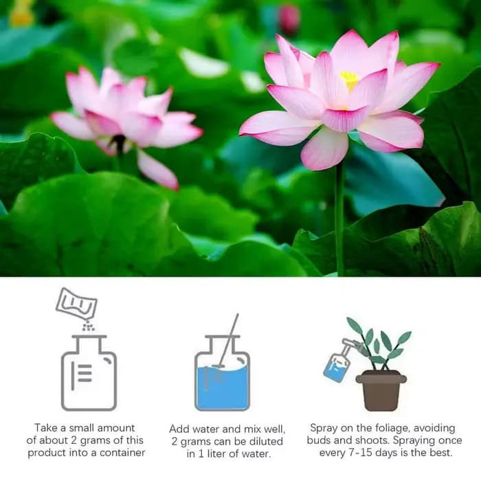 Fertilisateur de floraison de nénuphar naturel