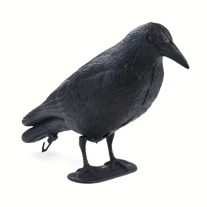 Pigeon épouvantail leurre corbeau antiparasitaire répulsif dissuasion