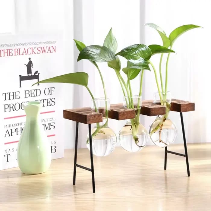 Jardinière hydroponique à cadre en bois avec bulbe en verre