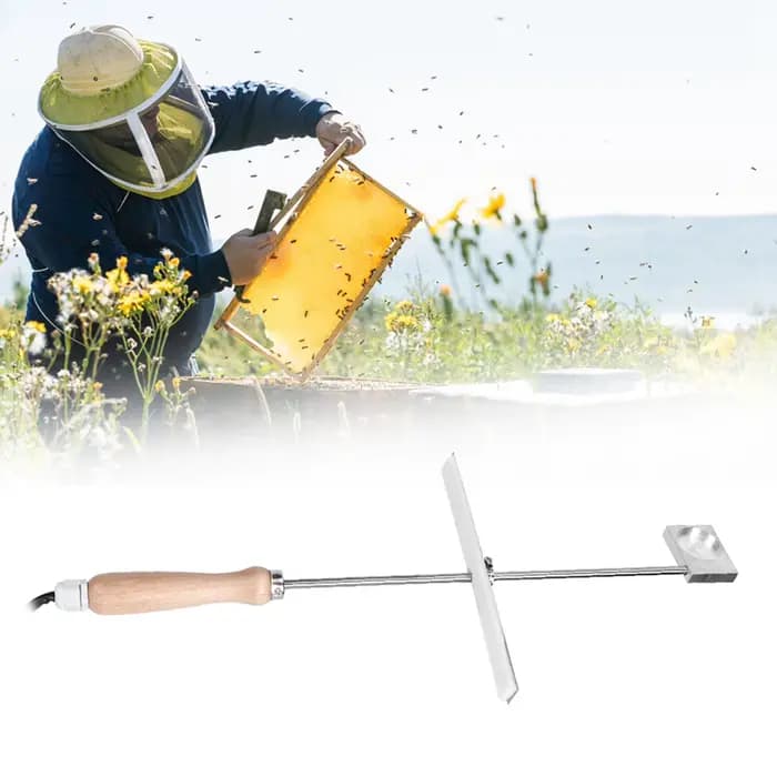 Outil de stérilisation pour l'apiculture