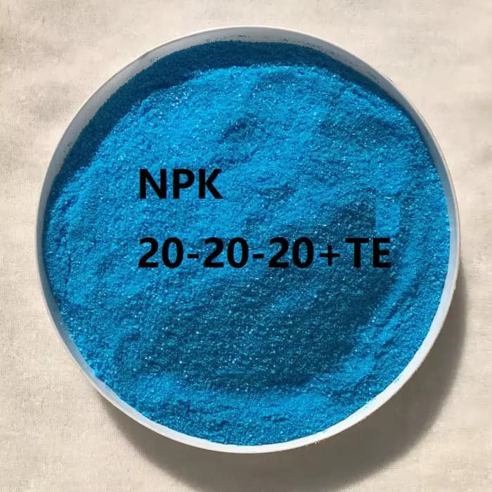 Engrais soluble dans l'eau composé NPK 20-20-20 + te