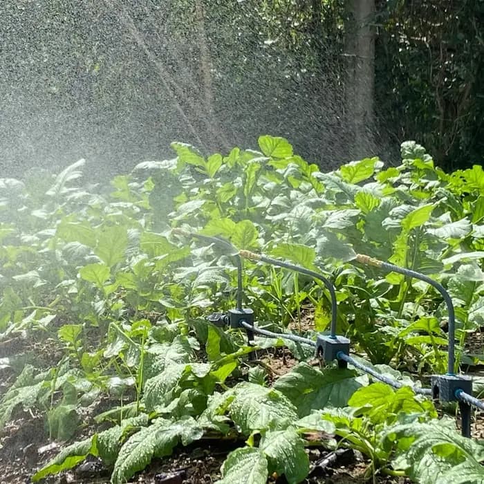 Kit d'irrigation goutte à goutte de jardin 5-30M, pompe auto-amorçante 60W 360 ° Serre de système