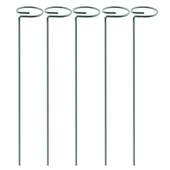 Bâtons de Support pour plantes grimpantes en pot