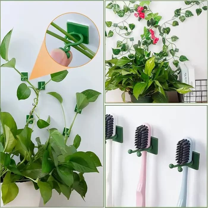 Clips de fixation murale pour plantes grimpantes, 10/30/50 pièces, fixateur de vigne en rotin, croch