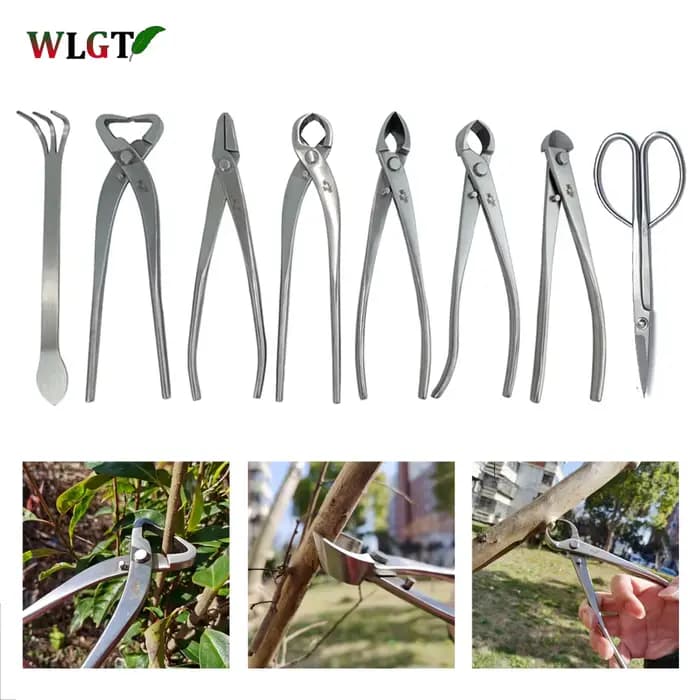 Outil d'élagage de bonsaï, coupe-racine en acier inoxydable de haute dureté, cisaille les Branches, coupe les Branches, pince de jardinage de fleurs