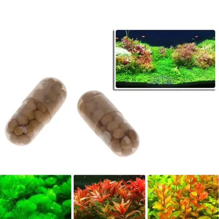 40 pièces graines de plantes d'aquarium sol Aquarium accessoires décoration flotteur aquatique eau h