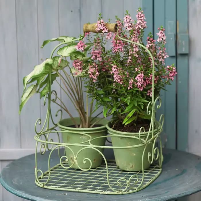 Ins rétro jardin fleur ferronnerie faire vieille plante bassin multi grille conception succulente conteneur pour balcon cour bonsaï Pot