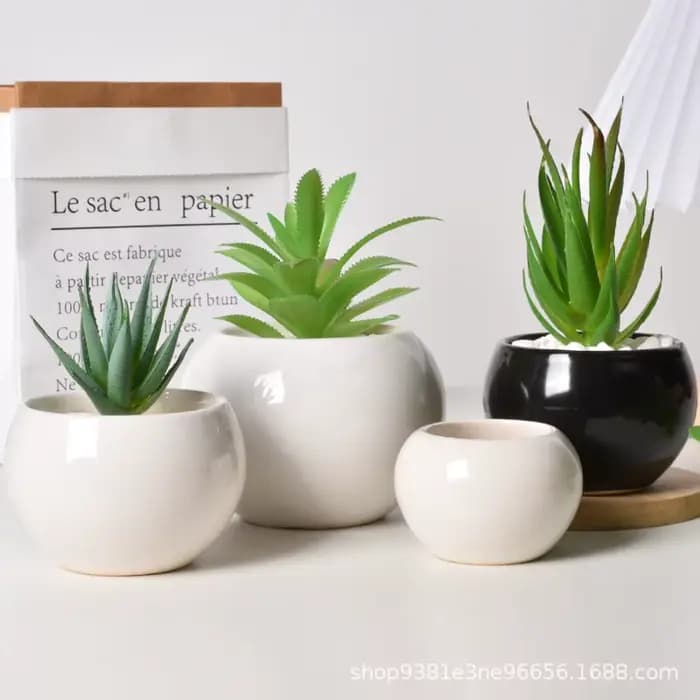 Petit pot rond en céramique pour plantes succulentes