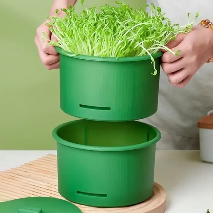 Pots de culture de pousses de légumes en plastique, structure ventilée et divisée, germeur de pousses sain, empilable, non toxique