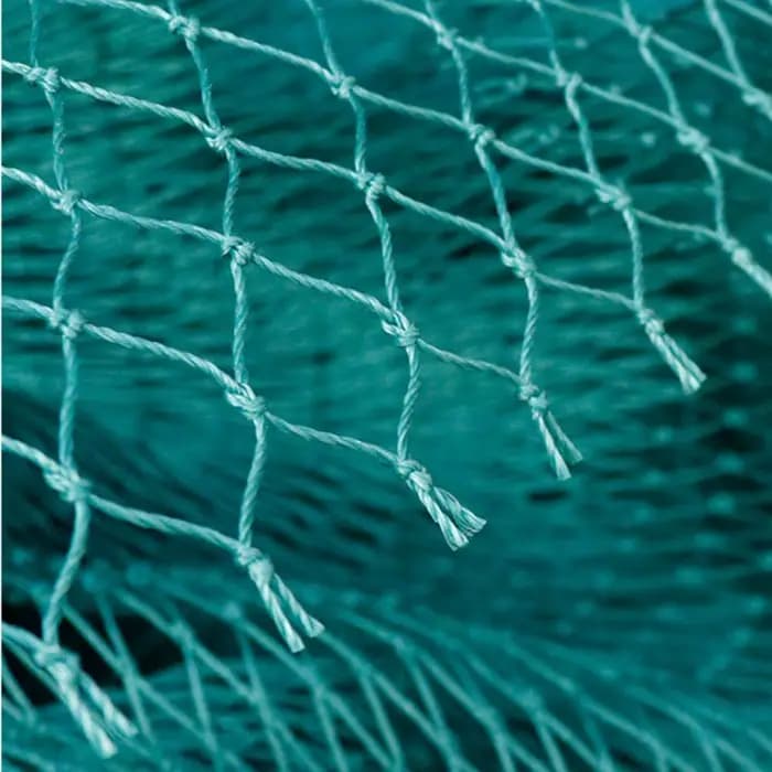Filet Anti-oiseau solide, clôture et cultures de jardin, maille de protection, Anti-oiseau, cerf, ch