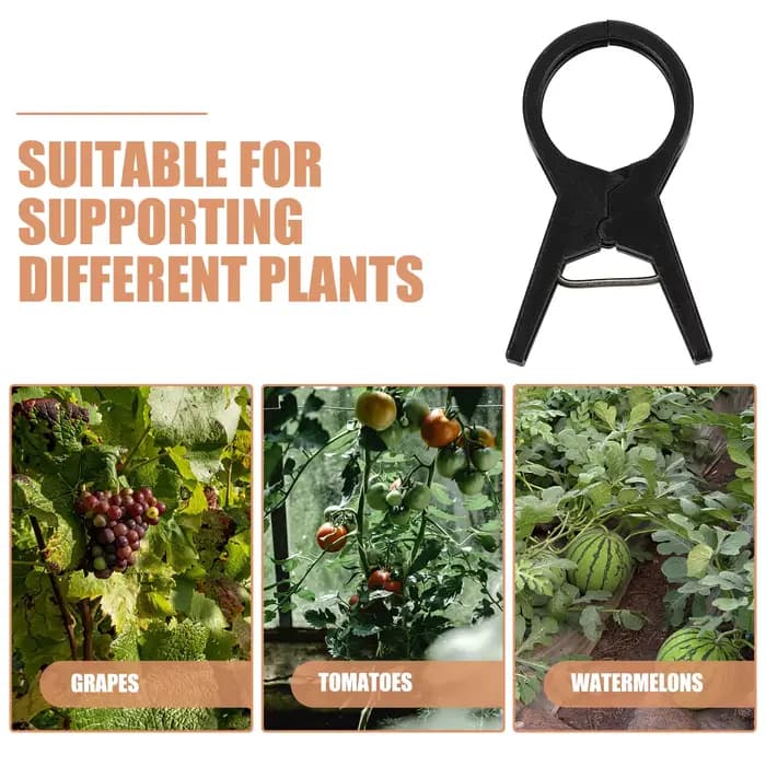 100 pièces serre agricole concombre tomate vigne attachant pince branche pince vigne fixation pince