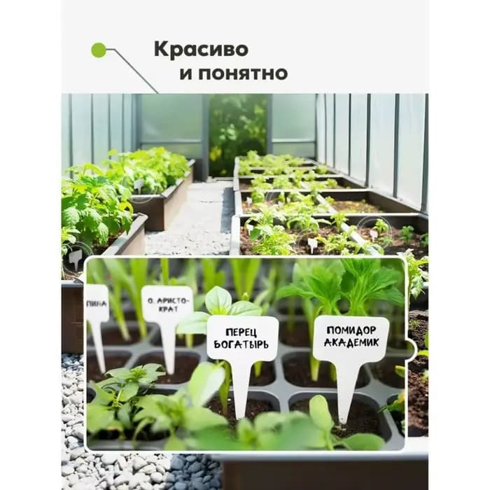 Étiquettes pour plantes de jardin BSEVB (100 pièces) - Idéales pour les semis