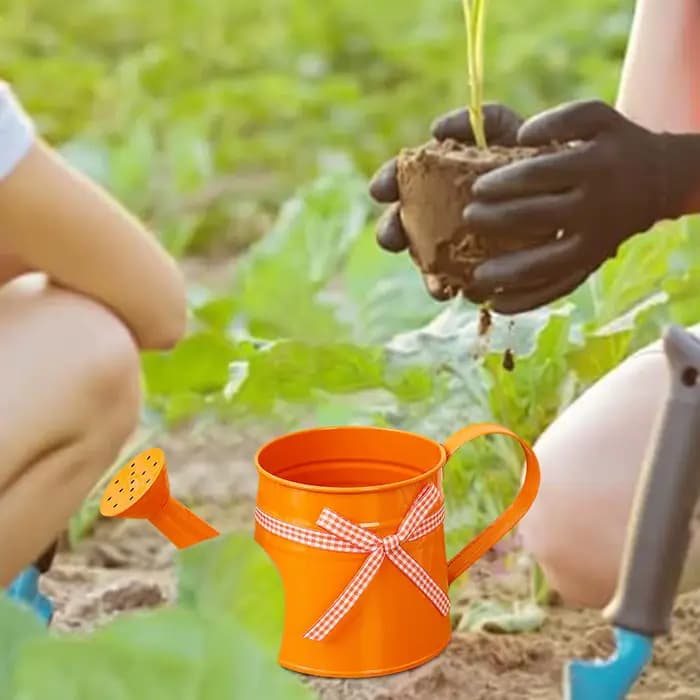 Petite Arrosoir 1L avec Tête de Pulvérisation et Ruban Gingham – Arrosoirs Modernes pour Plantes