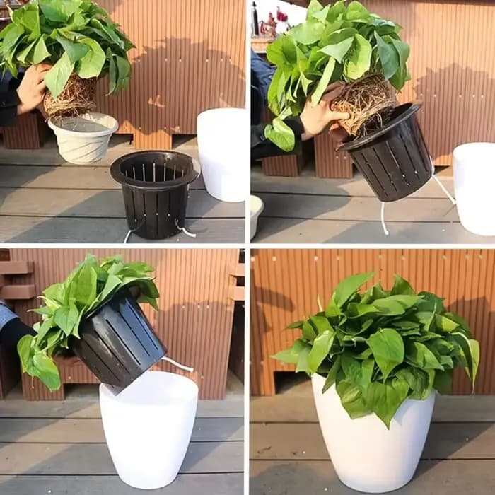 Pot de fleur paresseux à absorption d'eau automatique