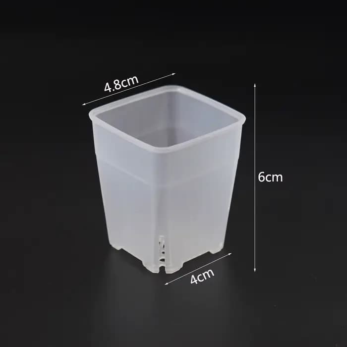 Pot carré en plastique Transparent pour fleur de viande