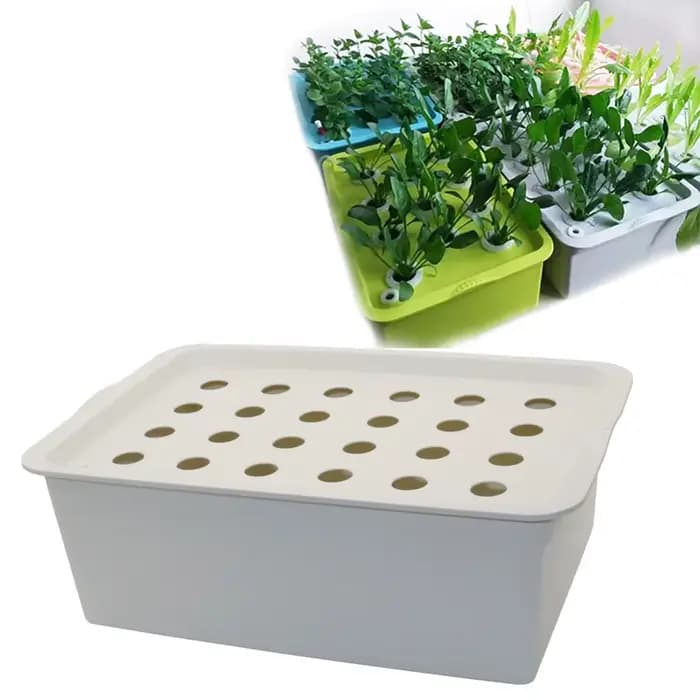 Kit hydroponique de Site de plantes à 24 trous, Pots de jardin, jardinières, Pots de semis, boîte de
