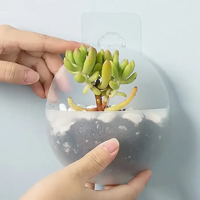 Vase mural hydroponique en plastique pour paresseux, pot de fleur de carotte verte, 1 pièce