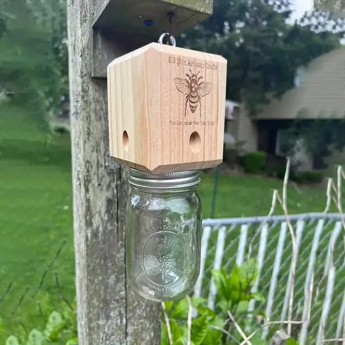Piège à abeilles de charpentier pour l'extérieur
