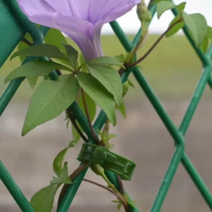 Pince de support en plastique pour plantes, clips de piquet en treillis, support de serre, légumes e