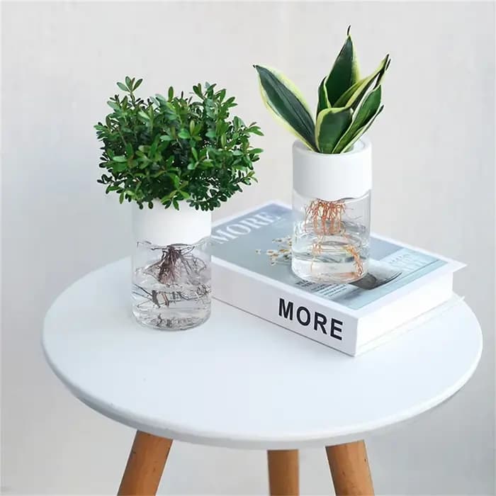 Mini Pot de fleur hydroponique, Vase de plante Transparent sans sol pour la décoration de la maison, Pot de plantes vertes en verre d'imitation