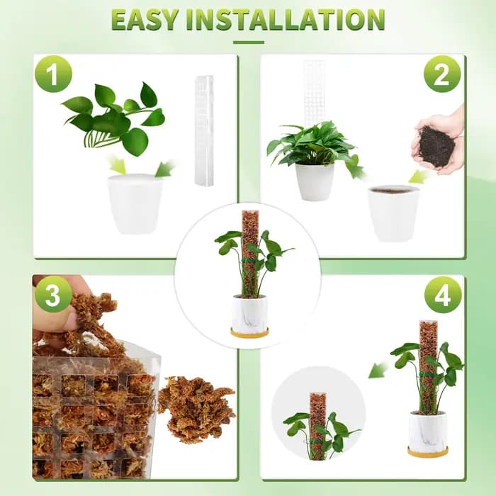 Poteaux de mousse plantes Support de plantes en plastique Transparent réutilisable intérieur bâtons