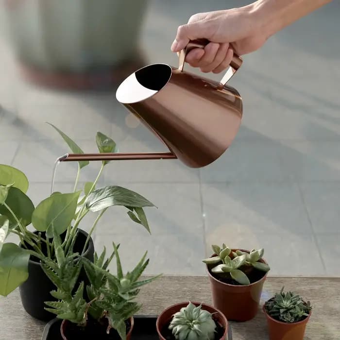 Arrosoir domestique en acier inoxydable