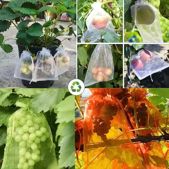 Sacs de Protection pour raisins et fruits, 500 à 50 pièces, sacs de culture, filet en maille pour pl