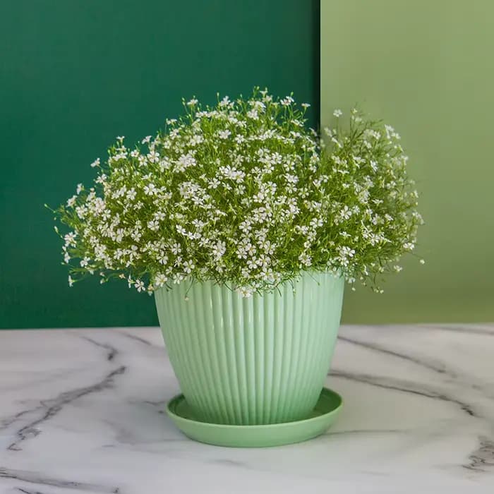 Pot de fleur rond jardinières succulentes Pot de plante avec plateau bureau balcon maison jardin déc