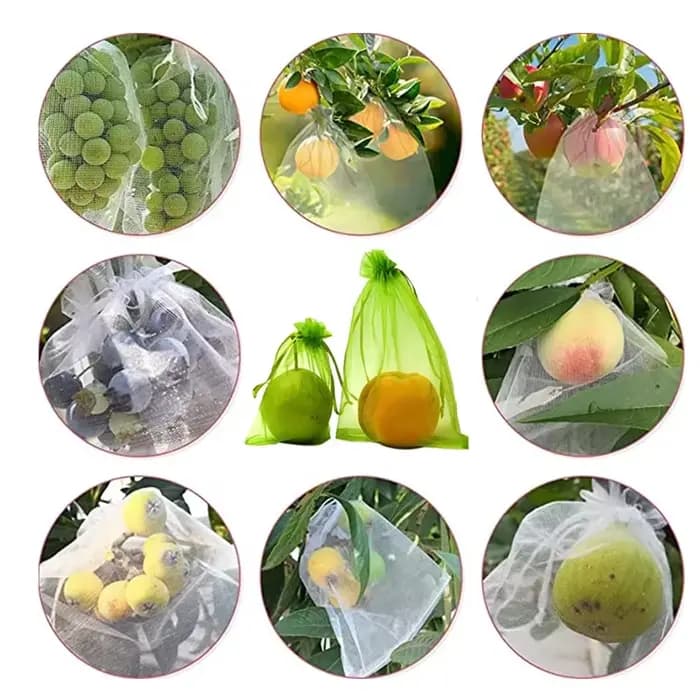 Sacs de Protection pour raisins et fruits, 500 à 50 pièces, sacs de culture, filet en maille pour pl