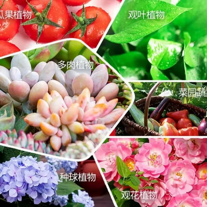 Convient à toutes sortes de fleurs et d'arbres pour utiliser le navigateur zer-Compound