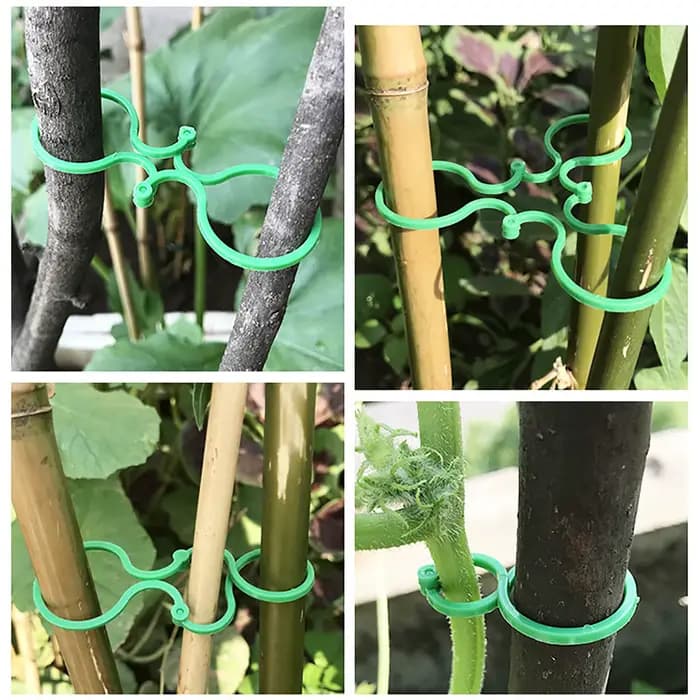 Clips de Cerclage de Vigne de Jardin en Plastique, Plante en Rotin, Fixation Murale Grimpante, Outil