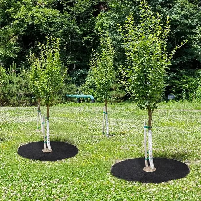 Barrière de désherbage avec anneau de pain d'arbre Non tissé, tapis de protection, couverture pour p