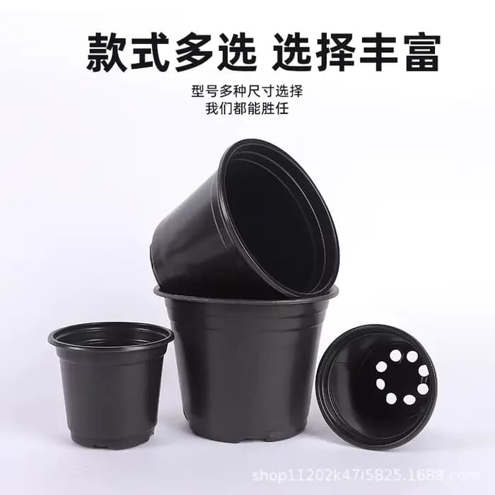 50/100 pots à semis noirs