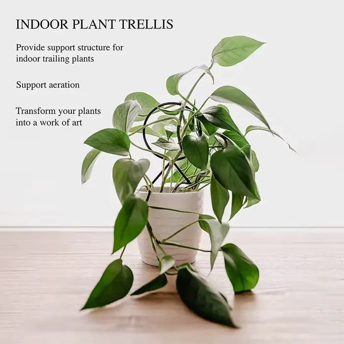 Support d'escalade pour plantes, treillis pour plantes de jardin, Support sur piquet, croissance de