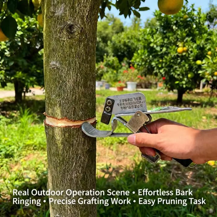 Couteau à élaguer pour arbres, outil de coupe pour enlever la couronne, cisaille pour petites branches, outils de jardin, outil efficace pour arbres fruitiers