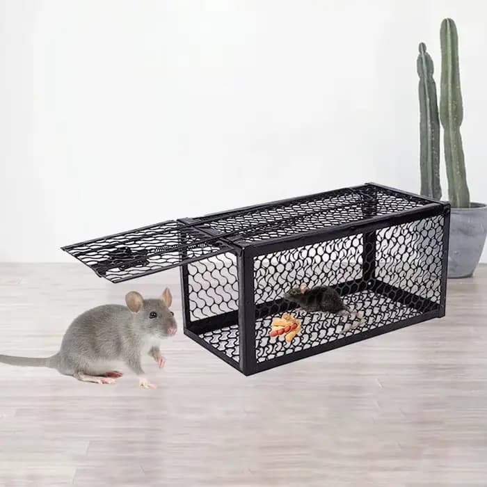 Piège à souris autobloquant, filet en fer ferme et sûr, collecteur de souris domestique en métal réu