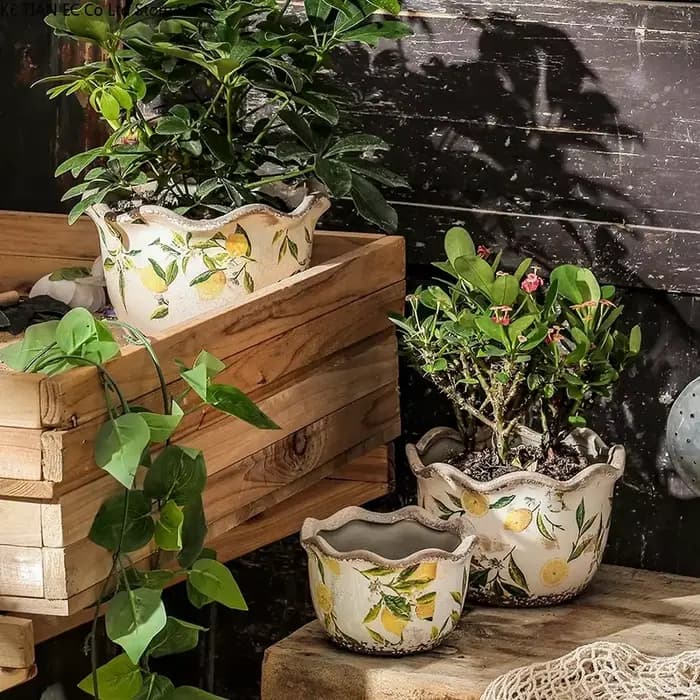 Pot de fleur en céramique en forme de citron Pot succulent Vintage Pot de plante