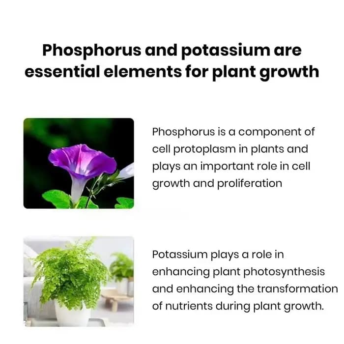 100g Monopotassium Phosphate MKP engrais Soluble dans l'eau floraison Booster pour fleurs Fruits et légumes | Aliment