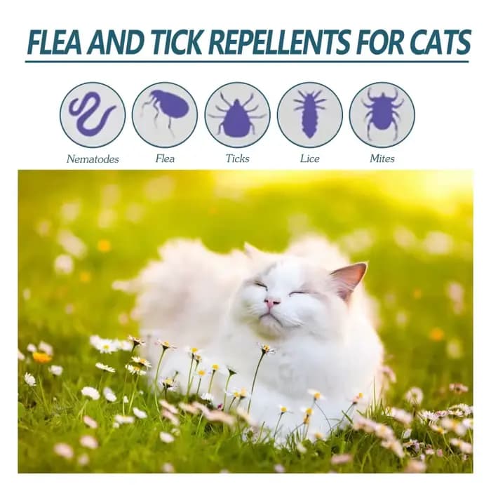Agent anti-tiques anti-puces pour animaux de compagnie