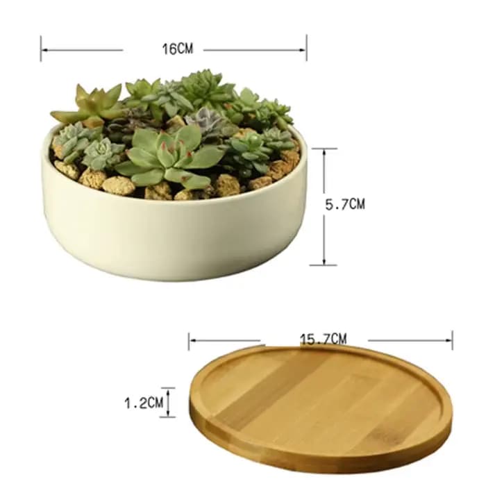 Pot de plante succulente en céramique, pot de fleur arrondi profond en porcelaine blanche avec escal