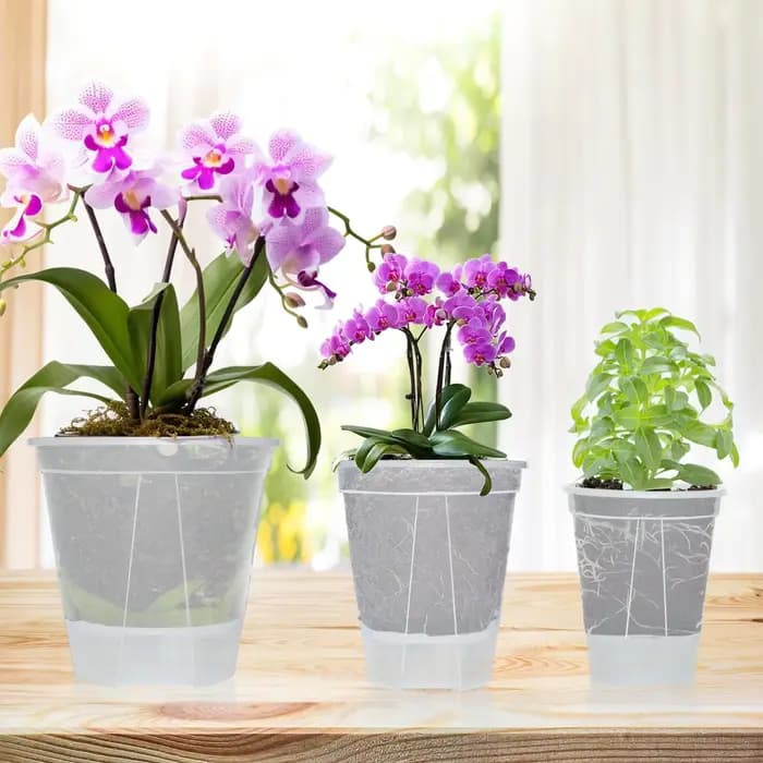 Pot de fleurs Transparent auto-arrosage avec réservoir