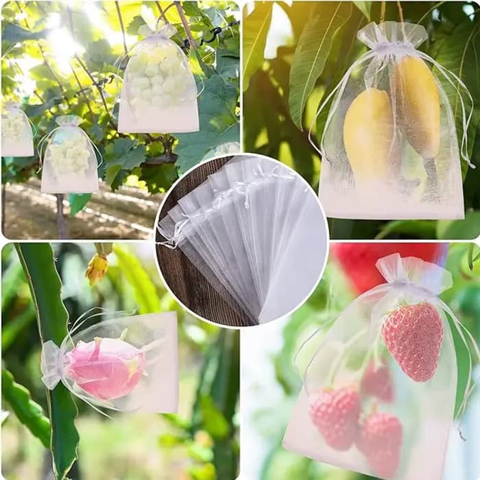 Sacs de Protection pour raisins et fruits, 50 à 500 pièces, sacs de culture d'arbre, filet en maille