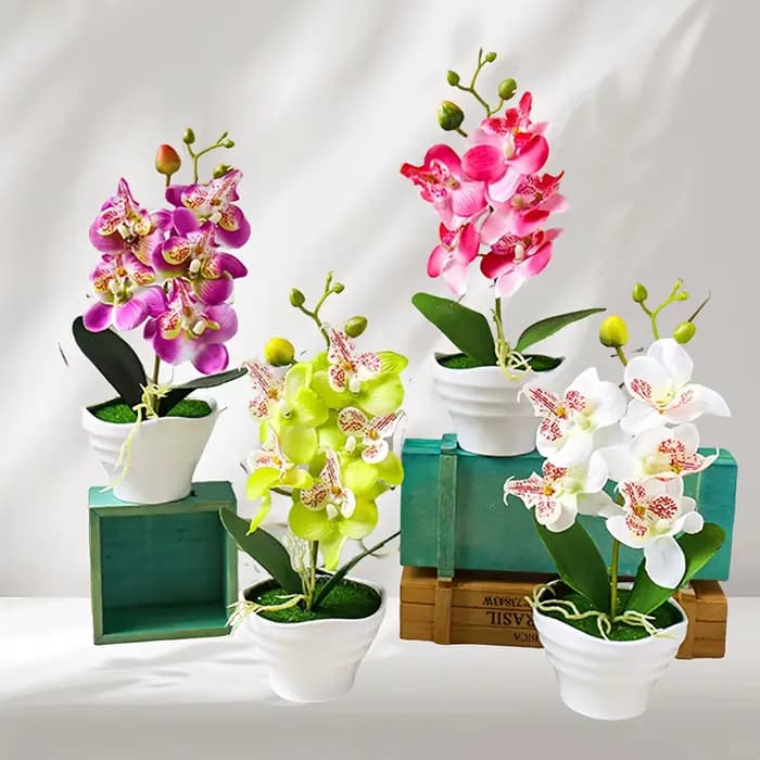 Orchidées artificielles
