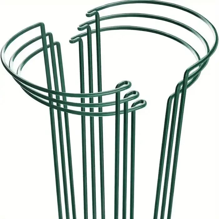 Piquets de Support pour Plantes de Jardin