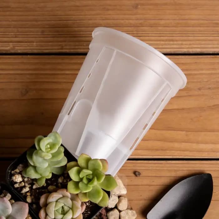 Lot de 5 pots auto-arrosants pour orchidées