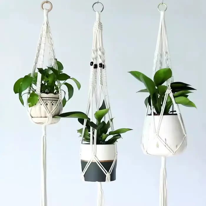 ConfronPlant-Cintre de plante en macramé fait à la main