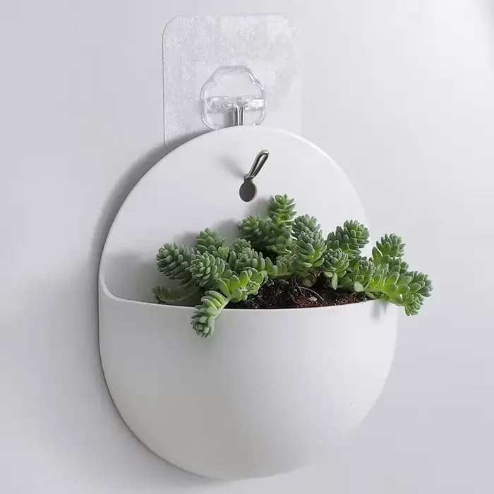Vase mural hydroponique en plastique pour paresseux, pot de fleur de carotte verte, 1 pièce