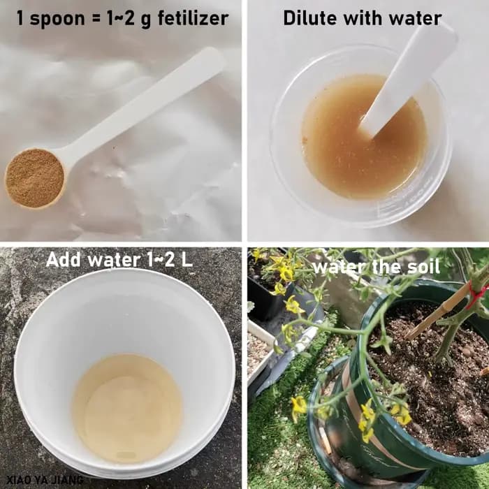 50g Bacillus Licheniformis 100 milliards d'engrais biologique microbien pour l'agriculture organique améliore la structure du sol et la vitalité des plantes